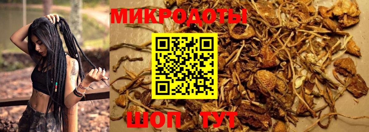Псилоцибиновые грибы прущие грибы Ливны