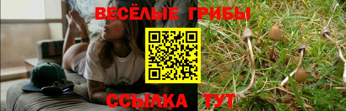 Ливны  Галлюциногенные грибы MAGIC MUSHROOMS  Галлюциногенные грибы ЛСД  Вход с VPN 
